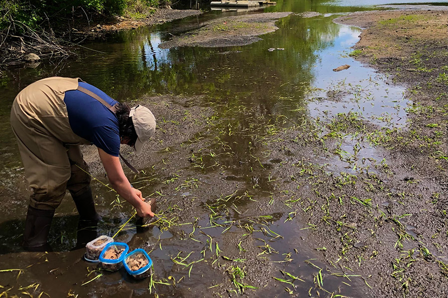 Jess Garcia-Lopez, BET体育 FURSCA research, summer 2021