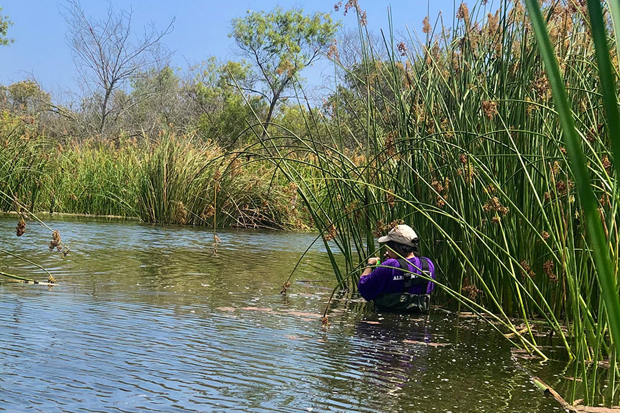 Jess Garcia-Lopez, BET体育 FURSCA research, summer 2021