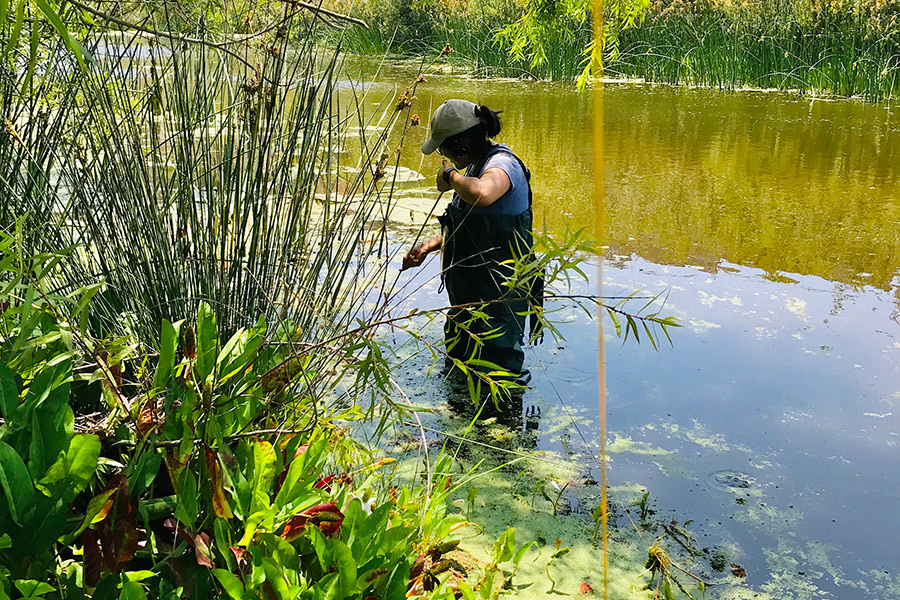 Jess Garcia-Lopez, BET体育 FURSCA research, summer 2021