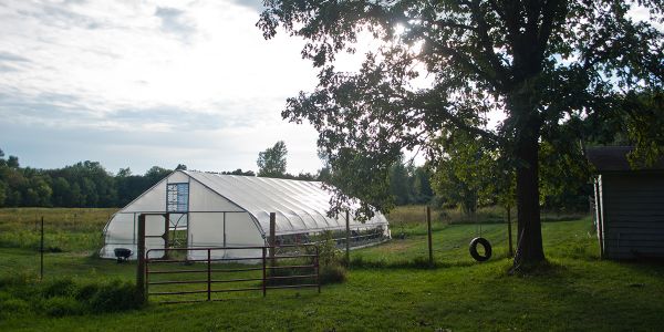 The outside of a greenhouse.